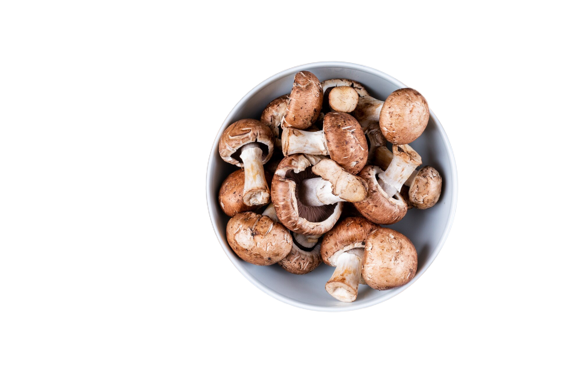 Funghi e Carciofi