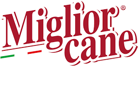 MIGLIOR CANE