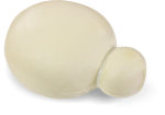 LATTERIE RIUNITE-Prodotti-1-FRESCO-Latterie Riunite-CASALONE FRESCO KG 4 LATTERIE RIUNITE-0
