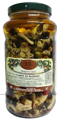 giurba prodotti 2 lunga conservazione vasi e bocce in olio boccia funghi di muschio kg 3 1 giurba 0