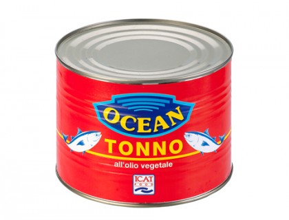 icat food prodotti 2 lunga conservazione tonno tonno ocean semi kg 1 730 0